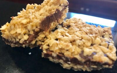 Oatmeal Peanutty Chocolate Fudge Bars
