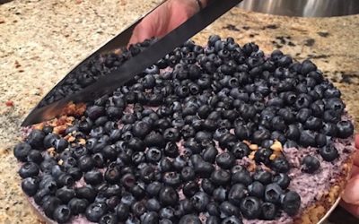 Blueberry Cheesecake – Gluten & Dairy Free